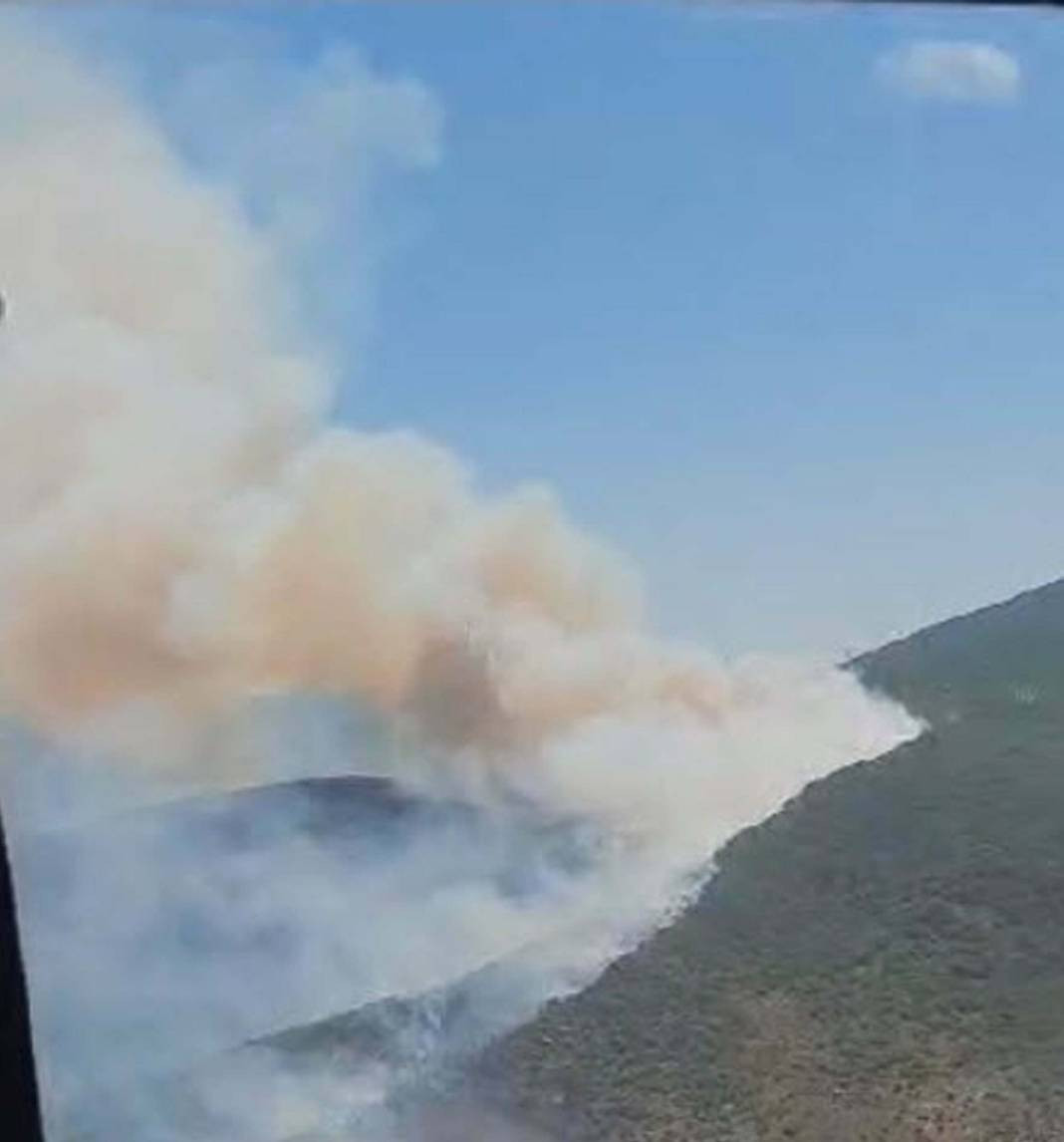 İzmir'deki orman yangını söndürüldü - Resim: 2